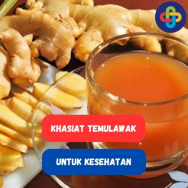 Temulawak: 5 Khasiat Untuk Kesehatan